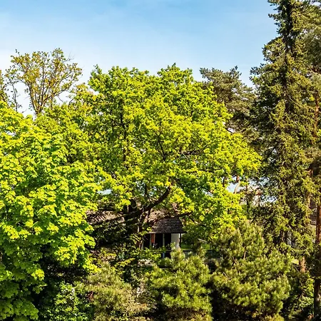 Lägenhet Traumsonne Timmendorfer Strand